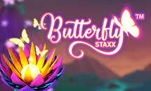 Butterfly Staxx